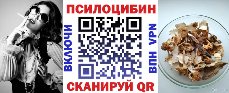 Псилоцибиновые грибы Psilocybine cubensis  Давлеканово 